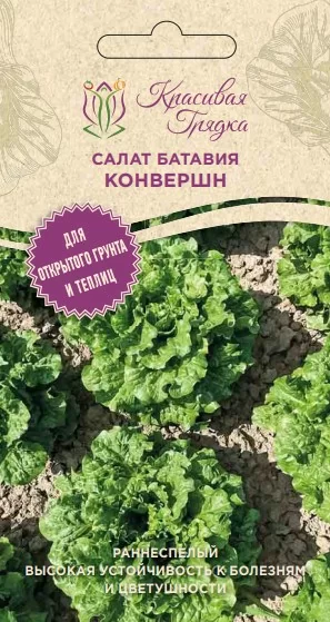 Салат батавия Конвершн (Красивая Грядка)