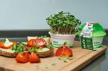 Набор для выращивания «Моя микрозелень» Редис