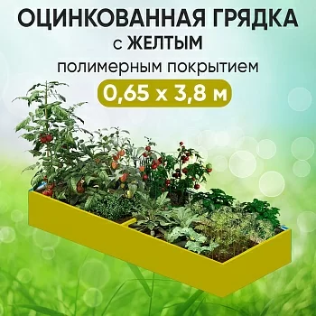 Грядка желтая (0,65 х 3,8)